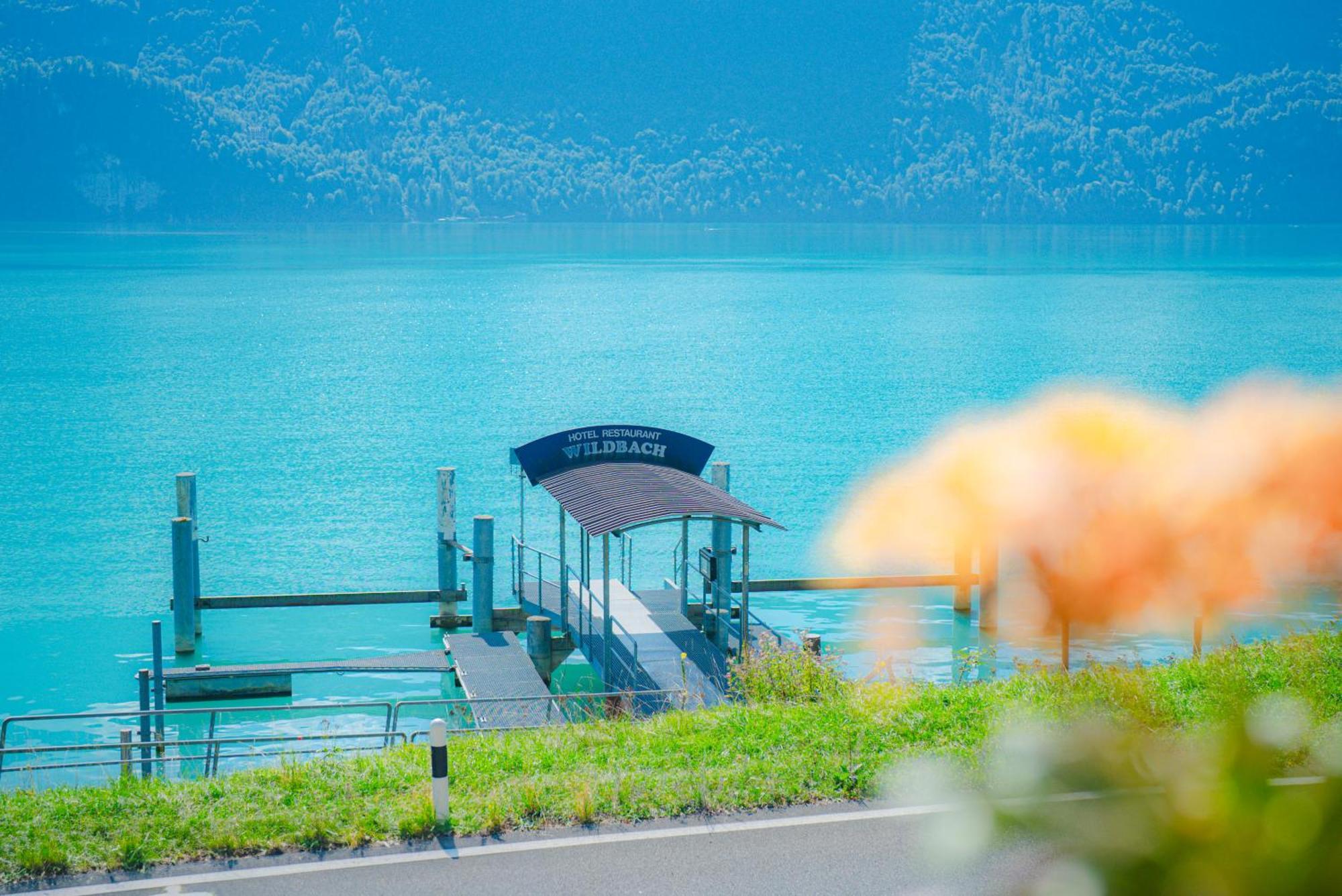 Hotel Wildbach Brienz 브리엔츠 외부 사진