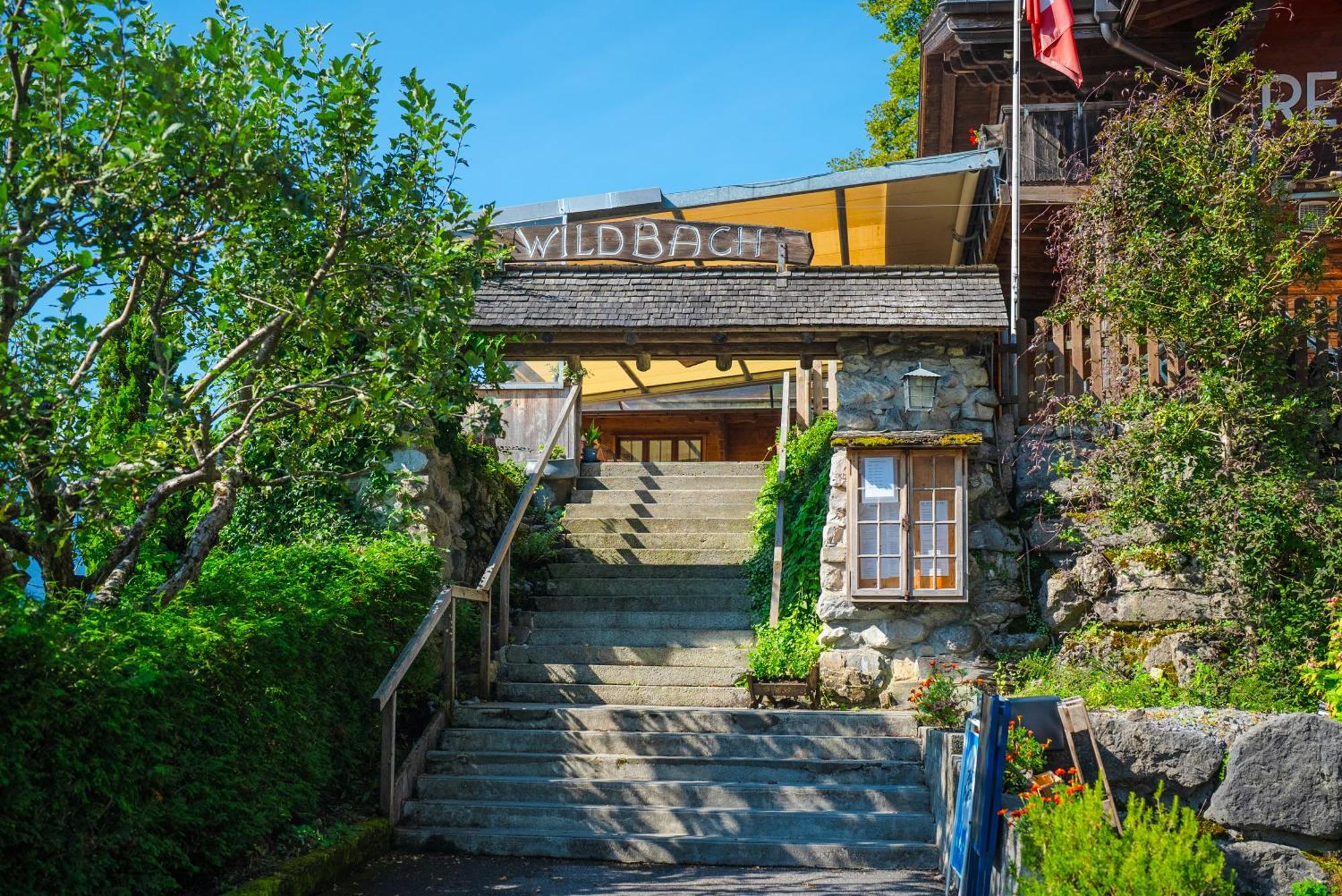 Hotel Wildbach Brienz 브리엔츠 외부 사진